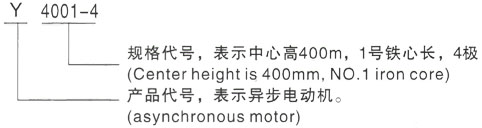 西安泰富西玛Y系列(H355-1000)高压YJTFKK4505-8-355KW三相异步电机型号说明